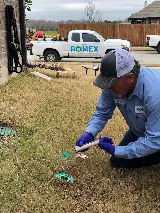 Romex Pest Control photo 6