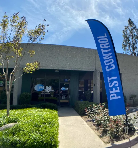 Pro Tech Pest Elimination Inc. in Rancho Cucamonga