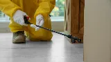 Wise Pest Control photo 4