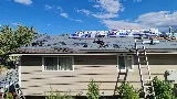 Shingle Pro Roofing
