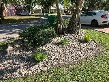 Bloom Landscaping photo 2