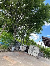 Voltage Tree & Lawn photo 4