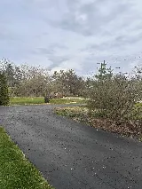Larry & Sons Landscaping photo 5