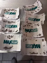 Extermination Solution Extreme photo 5