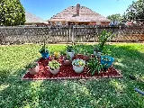 XoticKutsLandscaping,LLC photo 5