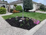 VitaNova Landscape Ltd. photo 3