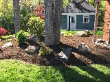DNG Landscaping LLC photo 6