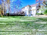 Iconic Lawn & Tree photo 5