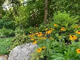 Stone Blossom Landscape & Design, LLC photo 4