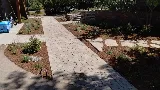 Solstice Landscaping photo 7