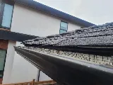 Westside Pest Control photo 8