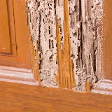 Stewart Termite & Pest Control photo 3