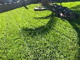 Arbol Roble Landscaping Services photo 6