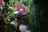Natural Resources Pest Control Miami photo 7