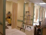 North Phoenix Painter