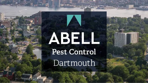 Abell Pest Control. photo 1