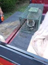 AGJ PEST CONTROL photo 6