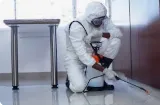 Elite Pest Control photo 7