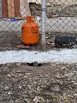 NYC Extermination photo 7