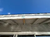 A Step Above Pest Control photo 3