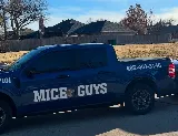 Mice Guys