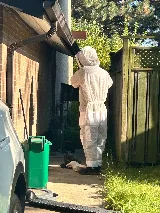Truly Nolen Pest Control & Exterminators Oakville photo 8