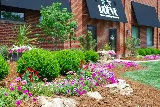 Rueve Landscape Company photo 8