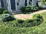 Chad Landscapes, Inc photo 2