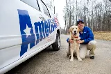 American Pest photo 3