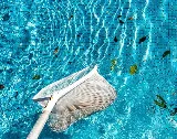 Transparent Pool Service (North Fort Myers) photo 2