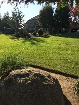 The Landscaping Masters Inc. photo 7