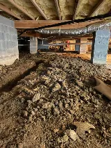 Summit Pest Solutions photo 6