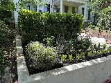 Townhome Landscapes photo 3