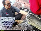 Tailor Made Pest and Wildlife photo 6