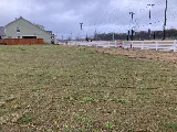 Landscape Services Group