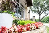 Terra Turf Landscape photo 7