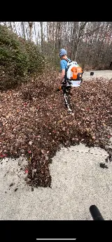 Lucky's Landscape & Lawn Care Dublin photo 2