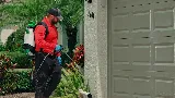 All U Need Pest Control photo 8