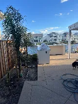 Llano Grande Landscaping photo 6