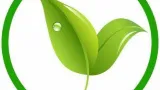 Orlando Evergreen Lawn & Landscaping
