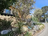 White Landscape Design photo 9