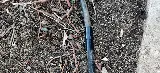 Prowess Landscaping Maintenance Inc. photo 8