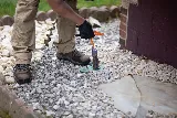 D-Bug Pest Control, Inc.
