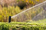 Landscaping Experts photo 8