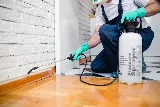 Golden Hills Pest Control photo 3
