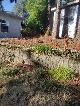 M&M Landscaping LLC photo 10