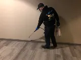 Gam Exterminating Buffalo NY Inc photo 5