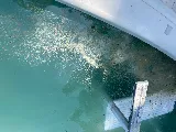 C C's Pool & Spa Services photo 5