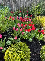 Santos Landscaping
