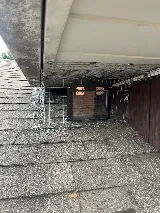 Quality Affordable Pest Control Toronto photo 2